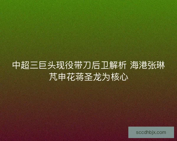 中超三巨头现役带刀后卫解析 海港张琳芃申花蒋圣龙为核心