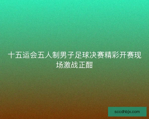 十五运会五人制男子足球决赛精彩开赛现场激战正酣