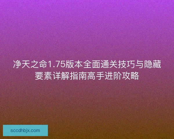 净天之命1.75版本全面通关技巧与隐藏要素详解指南高手进阶攻略 净天之命1.75版本全面通关技巧与隐藏要素详解指南高手进阶攻略