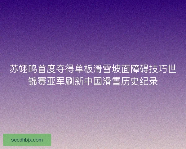 苏翊鸣首度夺得单板滑雪坡面障碍技巧世锦赛亚军刷新中国滑雪历史纪录